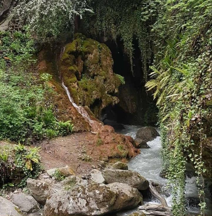 Chez Constance Ξενοδοχείο Saillon Εξωτερικό φωτογραφία